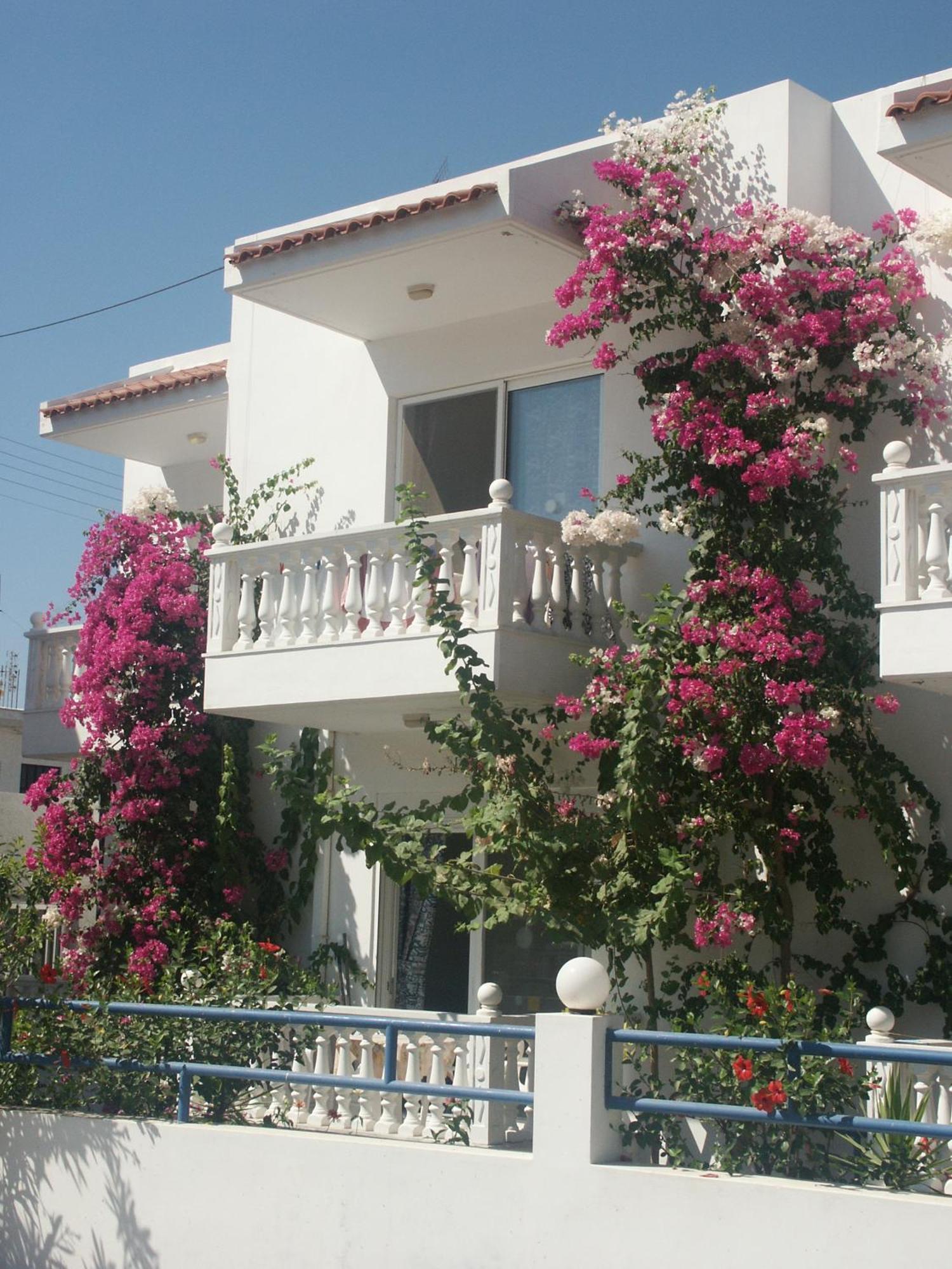 Castle View Apartmán